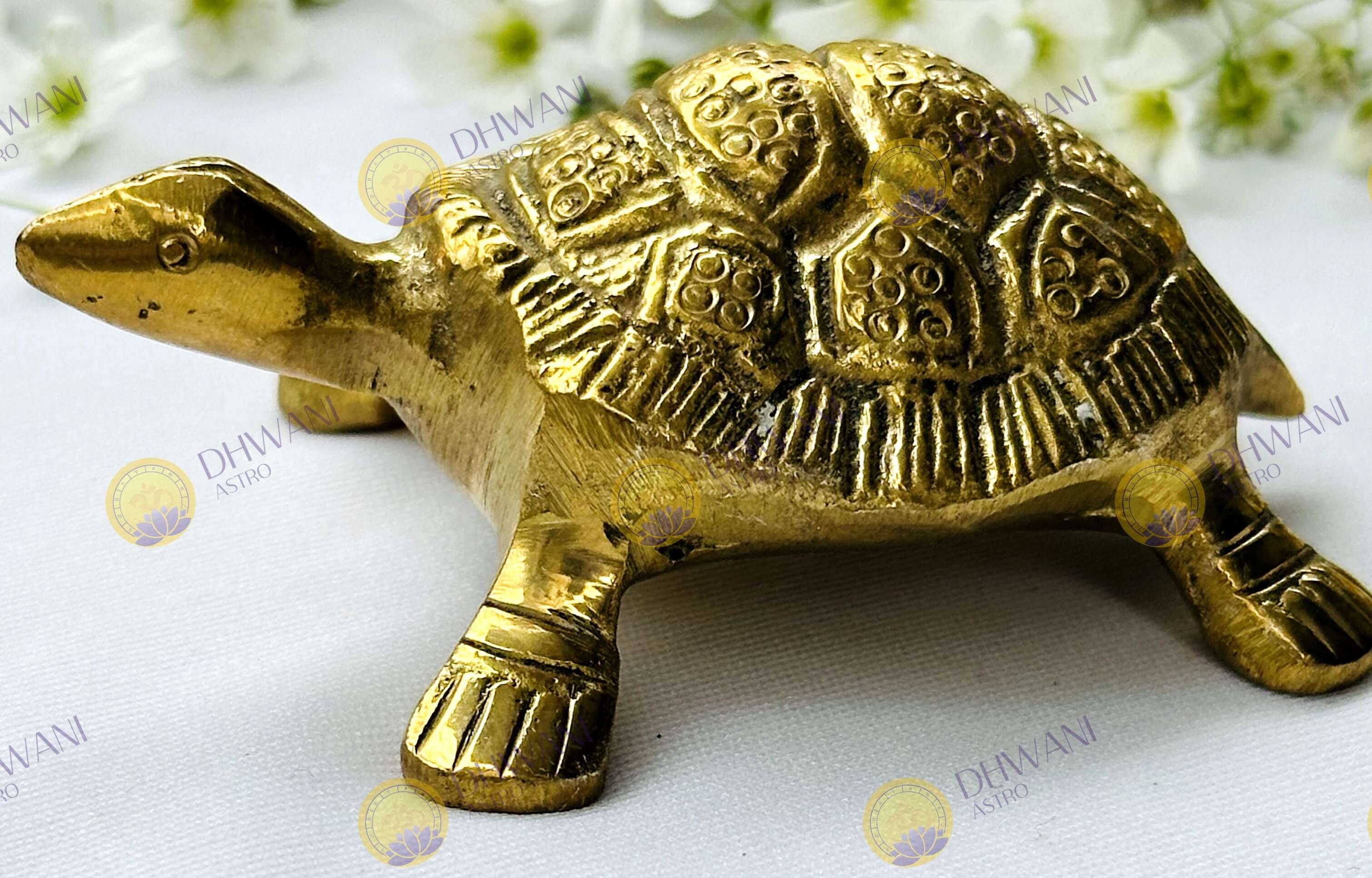 Brass Tortoise